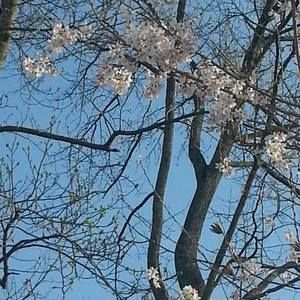 Meet your Posher, Doris